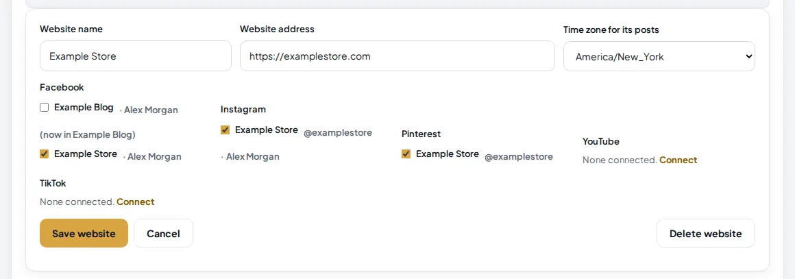 Website form with name Example Store, address https://examplestore.com, time zone America/New_York and the Example Store accounts ticked