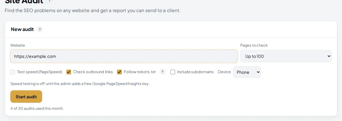 New audit form with the website https://example.com, the pages to check set to up to 100, the options and the Start audit button