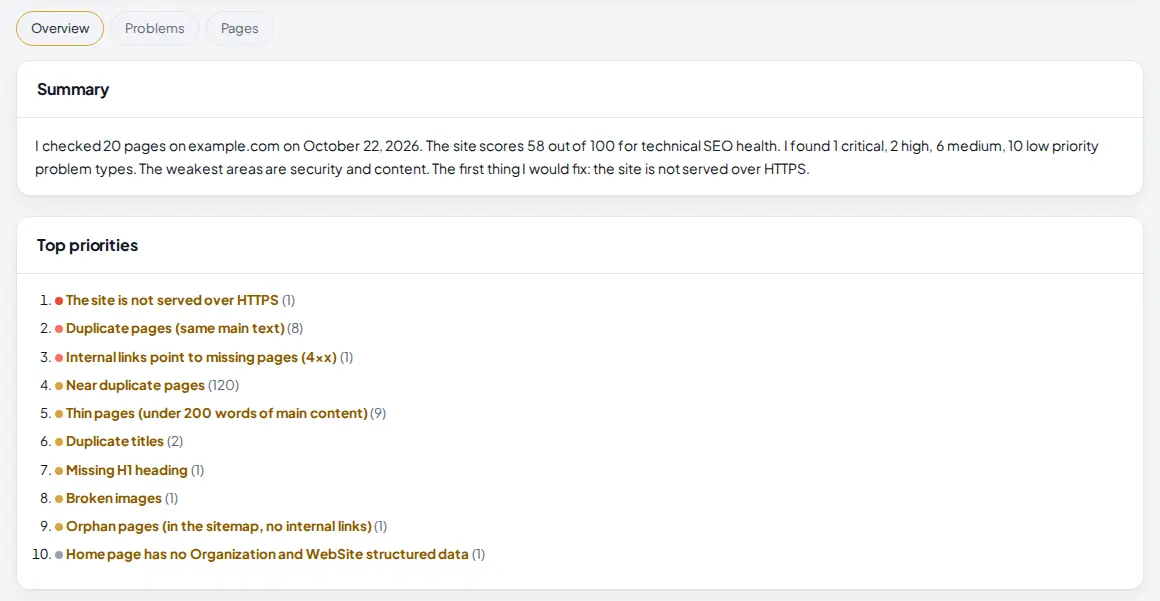 Overview tab with a written summary of the audit and a numbered list of the top 10 priorities