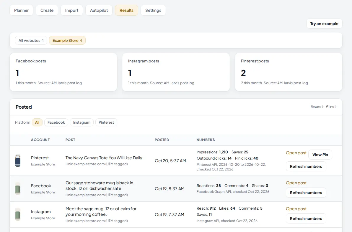 Results tab for Example Store with post counts per platform and posted Pinterest, Facebook and Instagram posts with their real numbers